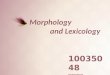 Morphology             and Lexicology