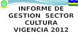 INFORME DE GESTION  SECTOR CULTURA  VIGENCIA 2012