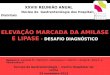 ELEVAÇÃO  MARCADA DA AMILASE E LIPASE -  DESAFIO  DIAGNÓSTICO