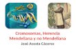 Cromosomas, Herencia Mendeliana y no Mendeliana