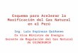 Esquema para  Acelerar  la Masificación del  Gas Natural en  el Perú