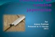 Couteaux de cuisine  japonaise