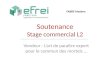 Soutenance Stage commercial L2