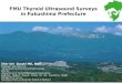FMU Thyroid Ultrasound Surveys in Fukushima  Prefecture