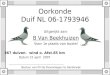 Oorkonde Duif NL 06-1793946