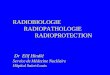 RADIOBIOLOGIE RADIOPATHOLOGIE RADIOPROTECTION Dr  Elif Hindié Service de Médecine Nucléaire Hôpital Saint-Louis