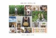 [Shoes Republic's New Collection] Natural is Free and Comfort Vol.1 2014