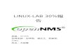 Linux 30% OpenNMS Report