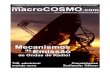 Revista Macrocosmo #15