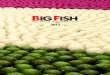 Catalogo Big Fish 2013