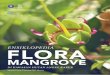Ensiklopedia Flora - Sahabat Bakau