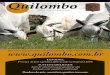 Jornal Quilombo - 15ª edição