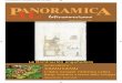 Panoramica Latinoamericana II - 2009