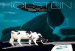 Katalog Holstein 13.1