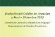 Evolución del Crédito en Arequipa y Perú – Diciembre 2013