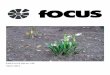 Focus marts 2014
