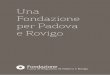 Una Fondazione per Padova e Rovigo