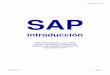 SAP - Introducción