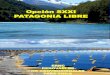 Proyecto Patagonia Siglo XXI