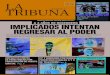 La Tribuna, Edición 24