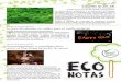 Eco Notas n. 36