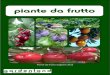 catalogo piante da frutto