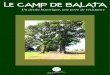 LE CAMP DE BALATA