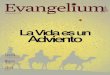 Revista evangelium