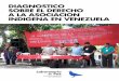 Diagnostico sobre el Derecho a la Asociación Indígena en Venezuela