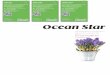 Ocean star promotion & gift catalog 2013 autumn