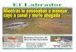 Diario El Labrador de Melipilla - Domingo 18 de Diciembre de 2011