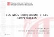 curriculum i competencies