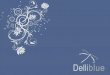 DelliBlue Moda Feminina - Catálogo