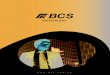 Brochure Servicios BCS