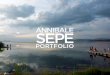 Annibale Sepe Photographer / Portfolio
