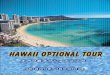 HAWAII Option