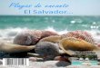 Playas de encanto, El Salvador