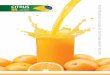 Suco de laranja brasileiro: Na rota da sustentabilidade