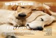 Splice Magazine 08
