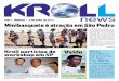 Jornal Kroll News nº 01