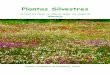 Plantas Silvestres - as cores das flores ao ritmo do tempo de Filomena Galego