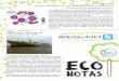 Eco Notas n. 39