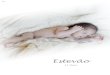 Estevao  -  Newborn