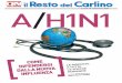 Dossier Virus A/H1N1