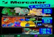 Mercator katalog do 11. 9