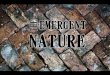 Naturaleza Emergente