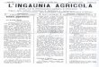 L'ingaunia agricola - Agosto 1909