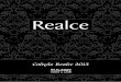 Realce 2014