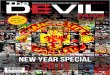 DVM NEW YEAR SPECIAL 2013