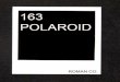 163 POLAROIDS